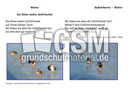 Enten-Schlittschuh-Morgenstern.pdf